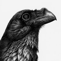 Karl Trewhela 🖊 (@karltrewhelaart) 's Twitter Profile Photo Karl Trewhela 🖊 (@karltrewhelaart) 's Twitter Profile Photo