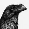 KarlTrewhelaArt's profile picture. Pen&Ink Hope, Strength, Resilience.
I like ravens. https://t.co/UnzjYcwbqD
https://t.co/e2hxnDvYEL