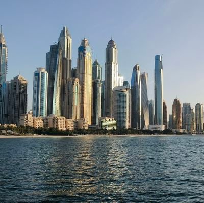 msafi0121's profile picture. 