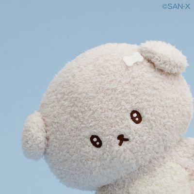todays_ukyo's profile picture. 🇰🇷 / 今日の右京 —̳͟͞͞♡ / マルシィ , Omoinotake