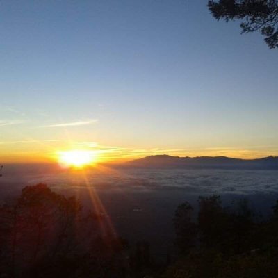 AvatarUpf's profile picture. 