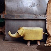 Tuuner (@keb663362) 's Twitter Profile