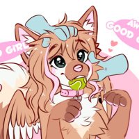 🌸🇨🇦Bimbo🇨🇦🌸 (@bimbo__pupper) 's Twitter Profile