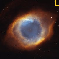 BB (@bb4maga) 's Twitter Profile