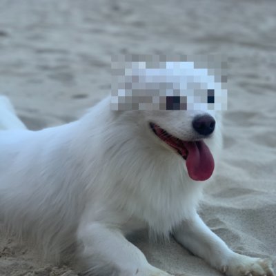 d4nhngyn's profile picture. - Web3 Builder
- Trusted Validator
Check docs: https://t.co/cUVq8GKs8o