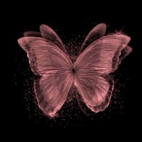 آمينة آل المسيب -السيابي- (@ba_ba986) 's Twitter Profile