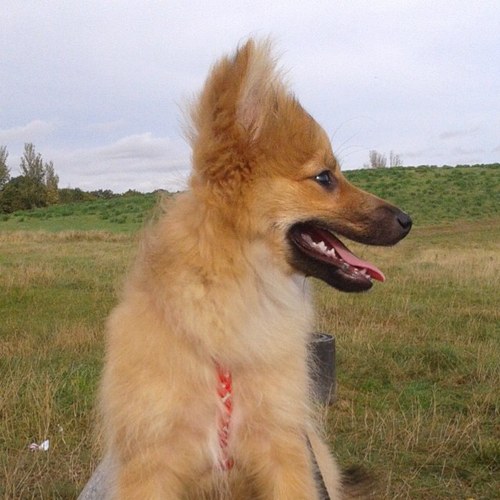 FornaroMario's profile picture. 