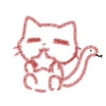 ほしねこさんのプロフィール画像