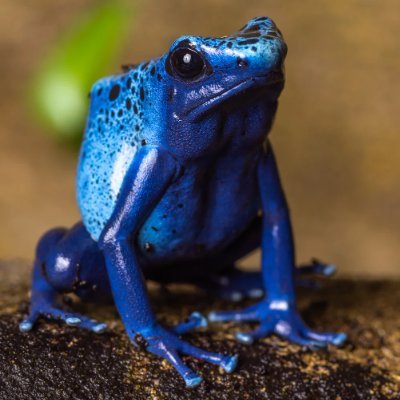 quasiribbit's profile picture. Construction management https://t.co/QWQWS7hsUE