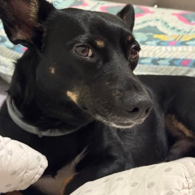 demiirb's profile picture. 