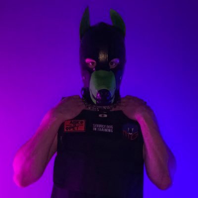 *squeak* I am rubber dog from CHI area, open to all meet n greetz 🐶 Owner of RBR | @rbrworkshops