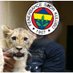 Aslan sevicisi (@sevicisiaslan) Twitter profile photo Aslan sevicisi (@sevicisiaslan) Twitter profile photo