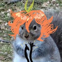 Canelita!‧₊˚🍊🌱 (@canelitavt_) 's Twitter Profile