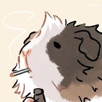 ❄️RONXX❄️ (@_r00nxx_) 's Twitter Profile Photo