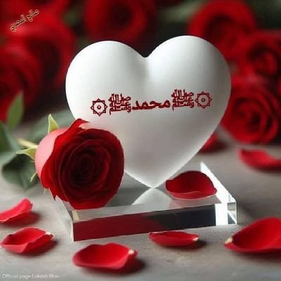 ABampori38484's profile picture. ابراهیم بمپوری اهل ایران هستم