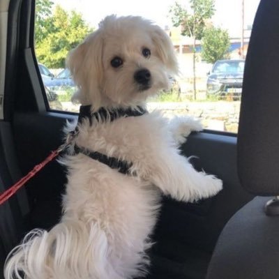 Ealla7248Linder's profile picture. I need someone to come fuck me and be my friends with benefit, Can you do that for me ,nothing more than someone to fuck me when i need to be fucke 💕