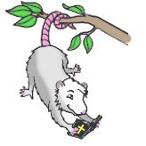 Doctrinal Possum (@doctrinalpossum) 's Twitter Profile Photo Doctrinal Possum (@doctrinalpossum) 's Twitter Profile Photo