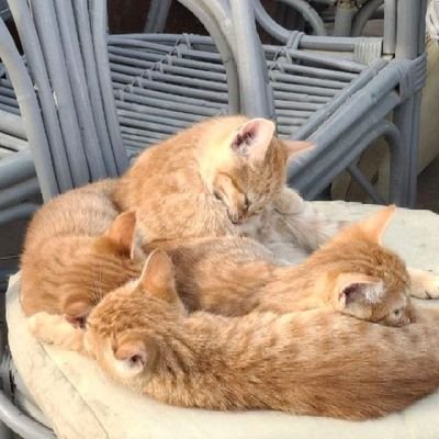 Adrian_S_1985's profile picture. So much interested in everything. Life is beautiful. Enjoy it and keep evolving !