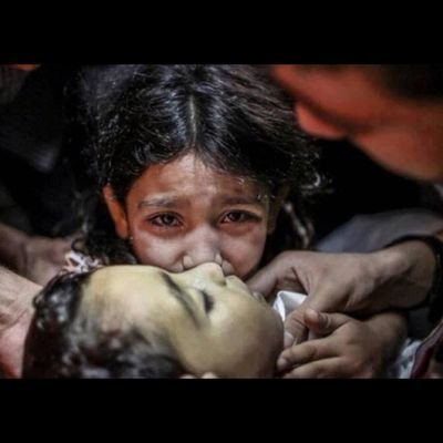 UtdGet's profile picture. 