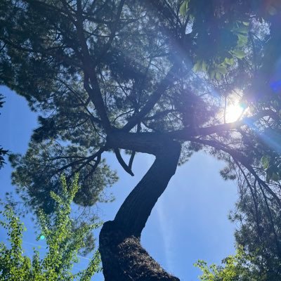 EytanNahmiyas's profile picture. 