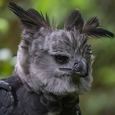 jan_vintrop's profile picture. Citlivý extremista