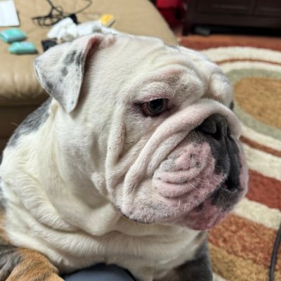 StephenWhitacre's profile picture. Fix reason firmly in her seat. Pursue Truth no matter where it leads.   ~ Thomas Jefferson.