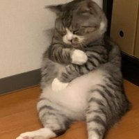 Marsure (@meiqadc) 's Twitter Profile