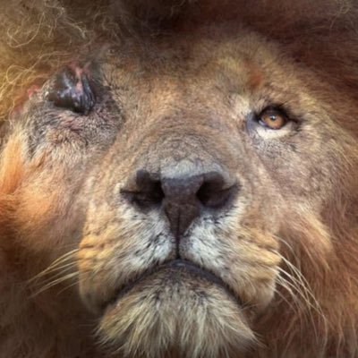 Almost_broke_n's profile picture. 