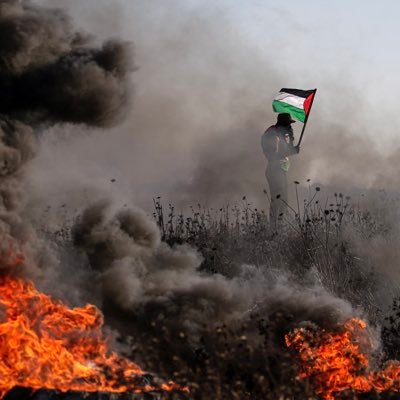 ShahrearChy's profile picture. 