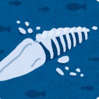 .。🦴 。. (@tknutrt_iro1002) 's Twitter Profile