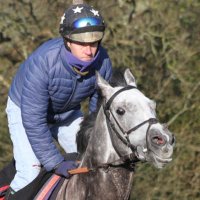 Brett Williams (@bwhorseracing) 's Twitter Profile