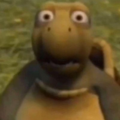 TurtleTom05's profile picture. Turtling it so hard right now