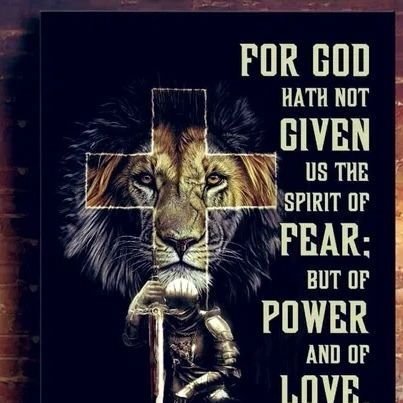Jesus is my Savior
I will Trust in the Lord
100% America first! MAGA MAHA
🚫 DM's