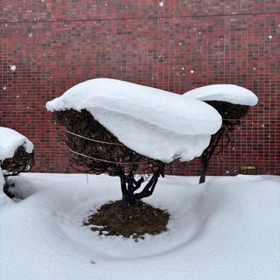 bacoooom's profile picture. 面白いのにすぐ食いつくミーハー女