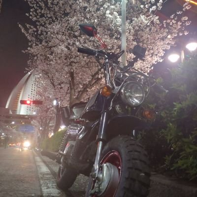 ユッピー(*´ω｀*)🏍️&ラプラスさんのプロフィール画像