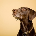 Keith Hampson - @EduAndDesign - Twitter