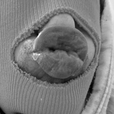 MISSEDMister's profile picture. MDNI anon gay page for a fat lipped, PANSEXUAL dick eater w a bbc of my own.