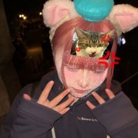 無 (@s1201852948036) 's Twitter Profile