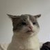 Absolute Budy's And Pal's (@budypals) Twitter profile photo Absolute Budy's And Pal's (@budypals) Twitter profile photo