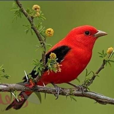 elfatih_birkya's profile picture. قال تعالى: ﴿فَقُلْتُ اسْتَغْفِرُوا رَبَّكُمْ إِنَّهُ كَانَ غَفَّارًا * يُرْسِلِ السَّمَاءَ عَلَيْكُمْ مِدْرَارًا* )