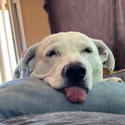 GiantGuidance__'s profile picture. 