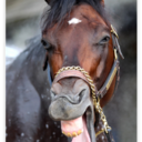 mike nelsen - @mikenelsen1 - Twitter