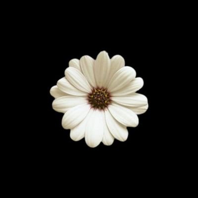 رَبَّنَا اغفِر لي وَلِوالِدَيَّ وَلِلمُؤمِنينَ والمؤمنات والمسلمين والمسلمات الاحياء منهم والاموات