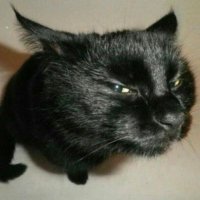 π΅πΈ (@ddthecapricorn) 's Twitter Profile