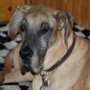 Tim Hill - @Koda07 - Twitter