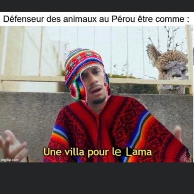 Loma92i's profile picture. tagrossetantequeshua