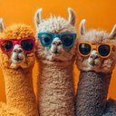 Drew - @Mureithi630442 - Twitter