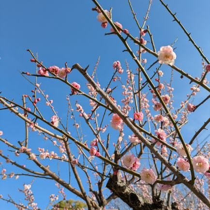 WCUAbJ9UCA6621's profile picture. 