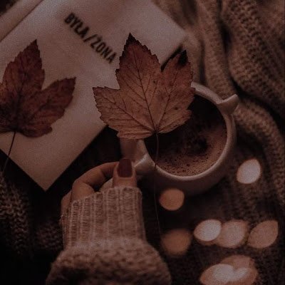 Asmaa_Alhasan22's profile picture. Full stack developer asp .net and angular 
web solutions development using no_code