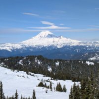 JustaSparky ⚡ (@96convt) 's Twitter Profile